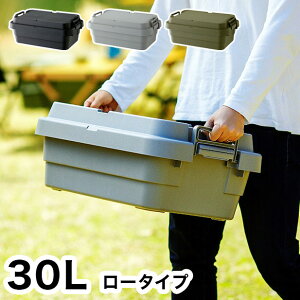 トランクカーゴ 30L ロータイプ 収納ボックス 収納ケース 幅60 奥行39 高さ24 30リットル 低め 箱 アウトドア 衣類収納(代引不可)【送料無料】