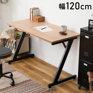 fXN 120cm p\RfXN wK ׋   ؖڒ i` X`[r ItBXfXN VvfXN e[u ݑΖ e[N [g[N AWX^[(s