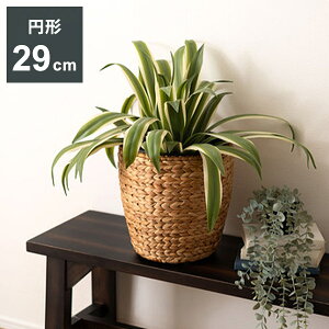 プランター 円型 7号用 プランター 鉢入れ アジアン 観葉植物 シンプル ウォーターヒヤシンス 雑貨 インテリア 室内 ブラウン 茶色 編み かご インテリア おしゃれ かわいい(代引不可)【送料