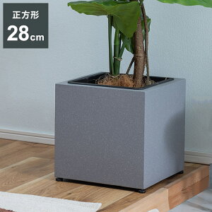 v^[ ` 6p v^[  _ C_XgA Vv O[ A ϗtA AWX^[t CeA(s)yz