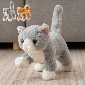 Aj} ʂ ʂ L  ʂ ֐߂    ybgX  CeAG L ˂ lR 킢 v[g  {(s)y