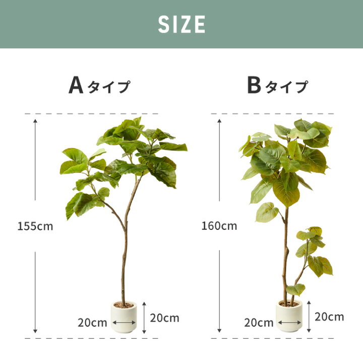 楽天市場】人工観葉植物 ウンベラータ 一本 フェイクグリーン 大型 