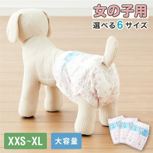 ނ ybg ̎q R L XXS XS S M L XL 6TCY 7w\ z hL 120 100 e }i[ xg pc  }[LOh~  ^ ^ ^ ^ VjAy