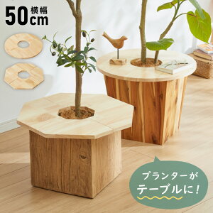 �V�R�� �v�����^�[�e�[�u�� ��50cm �~�` ���p�` ���o�[�E�b�h �ؐ� �V�� �v���[�g �i�`������ �k�� �T�C�h�e�[�u�� �����u�� �ډB�� ���y�B�� ���J�o�[ �T�[�N�� �I�N�^�S�� �ϗt�A�� �A�ؔ� 