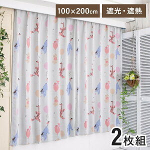 ܂̃v[ƒԂ 100×200cm Ռ J[e 2Zbg Disneyzone Disney/fBYj[ ՔM NVbNv[ eBK[ pooh C[[ ې􂢉 킢(s)yz