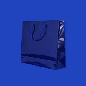 �V���W�} �u���C�g�o�b�O �V�R�� 1 �� 006137919 ���[�� �I�t�B�X �p�i