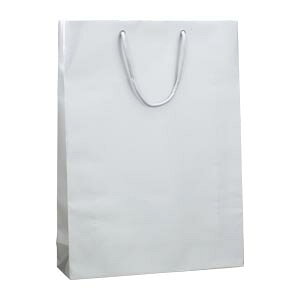 �V���W�} �u���C�g�o�b�O �M�� 1 �� 006138004 ���[�� �I�t�B�X �p�i