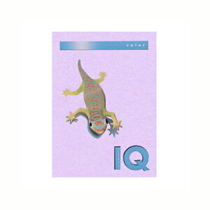 ɓ oCIgbvJ[PPC A4 x_[ 1  BT510 [ ItBX piyz