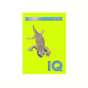 �ɓ��� �o�C�I�g�b�v�J���[PPC A4 ���C���O���[�� 1 �� BT514 ���[�� �I�t�B�X �p�i�y���������z