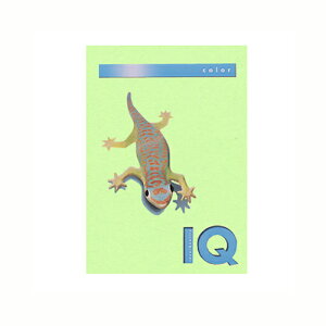 ɓ oCIgbvJ[PPC A4 ~fBAO[ 1  BT706 [ ItBX piyz