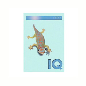 ɓ oCIgbvJ[PPC A4 ~fBAu[ 1  BT708 [ ItBX piyz