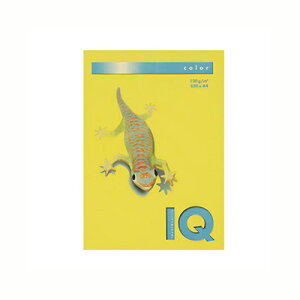 ɓ oCIgbvJ[PPC A4 }X^[h 1  BT729 [ ItBX piyz