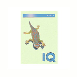 ɓ oCIgbvJ[PPC A4 O[ 1  BT805 [ ItBX piyz