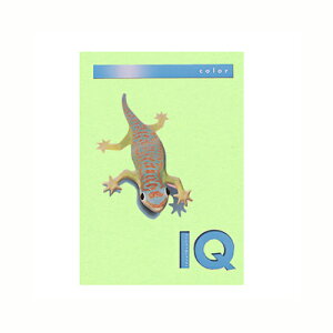 ɓ oCIgbvJ[PPC A4 ~fBAO[ 1  BT806 [ ItBX piyz