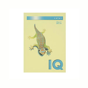 ɓ oCIgbvJ[PPC A4  1  BT827 [ ItBX piyz