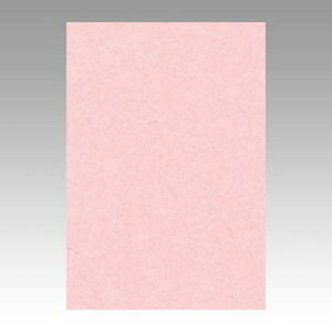 ^ Fp j[J[ 8  1  8NCR-102 [ ItBX pi