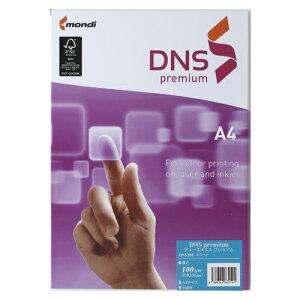 ɓ DNS@v~A@A4@100g@zCg@100 DNS101 1
