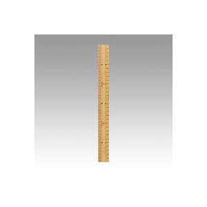 ⒹY |30cm@ J-T30R 1{