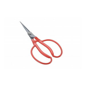 ѐ K-21 XeXԂǂȂ[PPܓ] 606323yz