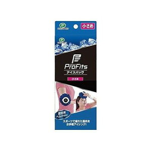 �A�C�X�o�b�O ������ 126500833�y���������z