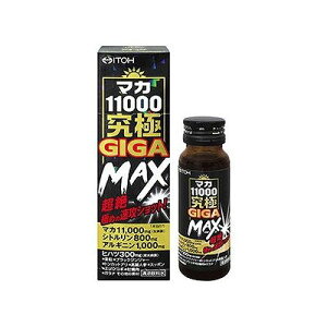 �}�J11000����GIGA MAX(50mL) 074005253