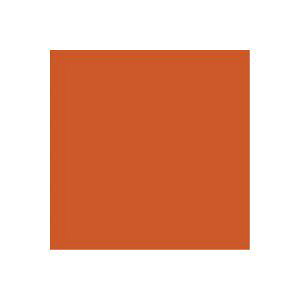 i܂Ƃ߁jWCebNX PF肪ݞ 100 B260J-9y×20Zbgz (s)