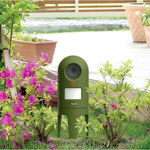 g L 8.4×s10.8×14.2cm ԊOZT[ dr OΉ hH\ ǔL tAQyyz (s)