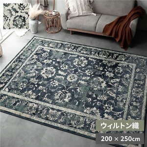 ���O �}�b�g ��200×250cm �l�C�r�[ �z�b�g�J�[�y�b�g�Ή� ���g�[�Ή� �I���G���^���� �E�B���g�� �A���e�B�[�N�� �I�[���V�[�Y�� �q�[�g�Z�b�g���H �|���v���s���� �O�~ �t���A�}�b�g ���O�J