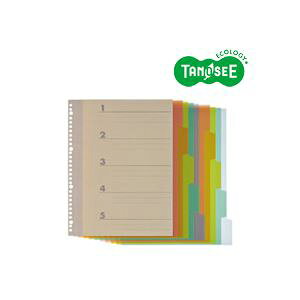 i܂Ƃ߁jTANOSEE CfbNXiPPj A4^e 4E30 5R2g 20pbN (s)