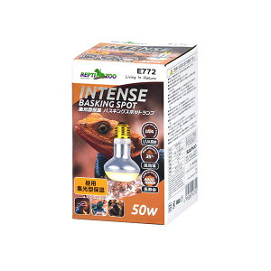 �i�܂Ƃ߁j�W���^�ۉ��o�X�L���O�X�|�b�g�����v 50W ঒��ޗp�y×2�Z�b�g�z