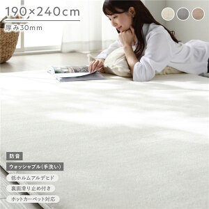 �������� �h�� ���O ��190×240cm �A�C�{���[ �E���^�� �t�����l�� ����~�߉��H �Y���ɂ��� ���OK �􂦂� �E�H�b�V���u�� �z�b�g�J�[�y�b�g ���g�[�� �E���^��30mm�� ��v �I�[���V�[�Y�� ��