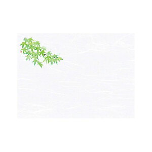 }R[ p Ɩp 3_a΂܂ ԍ(͂Ȃ) ݂ (100) yamaco66430