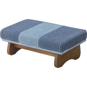 ֎q L 44×s30×19cm fju[ ؐ CX i rO _CjO CeAƋ (s)