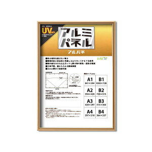 yPOPt[zyt[EUVJbgPETt |X^[t[A~B3i515×364mmj S[h (s)