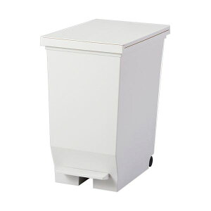 �A�X�x�� �G�o�����J���y�_���y�[�� 40L �z���C�g A630491 1��