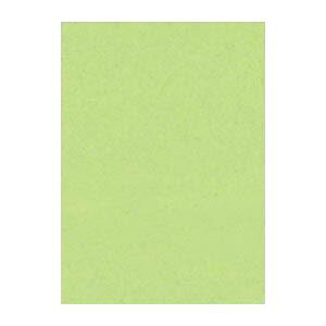 �i�܂Ƃ߁j ���^�� �j���[�J���[R �S�� ��788×�c1091mm 10-243 �킩���� 10���� �y×2�Z�b�g�z