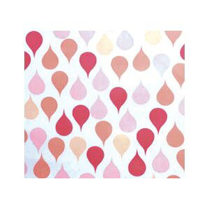 (܂Ƃ)| HpGv \tsGv (1)IW 102241y×5Zbgz (s)