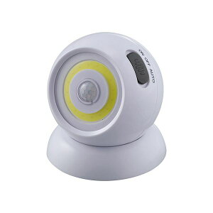 Z[uEC_Xg[ COBZT[Cgi}Olbgtj812021 (s)