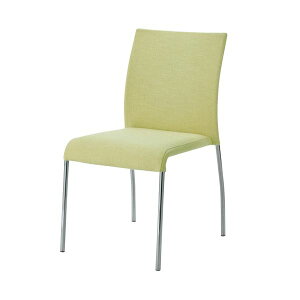 FRENZ ��c�C�X CSL-4 �C�G���[�O���[�� (����s��)