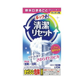 （まとめ）ライオン 排水口まるごとクリーナーキッチン用 2包入【×50セット】 (代引不可)