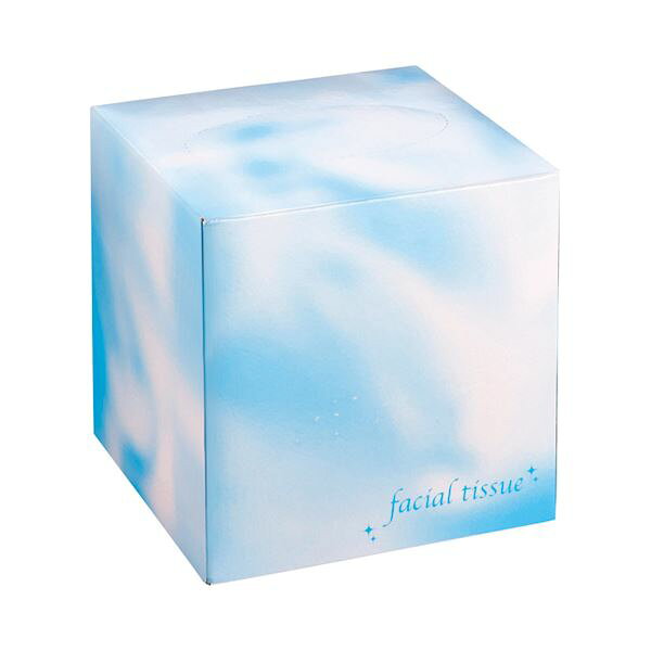 （まとめ）大一紙工 フェイシャルティッシュ サイコロBOX 80組 ブルー 1箱 【×50セット】 (代引不可)