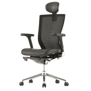 FHT500RF004 / T50 �G�O�[�N�e�B�u�`�F�A�y���q�l�g���i�z (����s��)