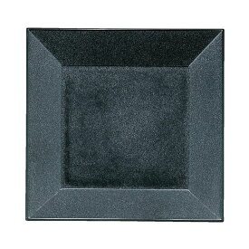 7.5寸 角四方前菜盆/トレー 【グレー乾漆】 220×220×32mm 日本製 〔和食 レストラン 居酒屋 店舗 お店〕 (代引不可)