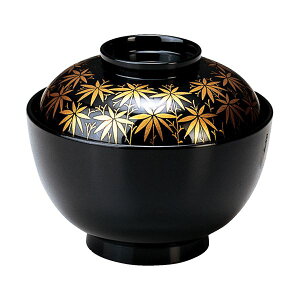 ~Ro/o y TAz a111×93(66)mm { H@Ή kaH Xg X Xl (s)