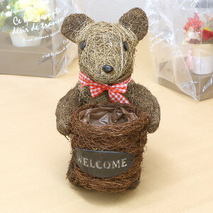 Aj}oXPbg/Av^[ yN} CguEz /ِ 82-242 kK[fjOpi |l (s)