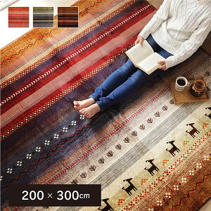 O ` 􂦂 Mx h O[ 200×300cm zbgJ[ybgΉ (s)