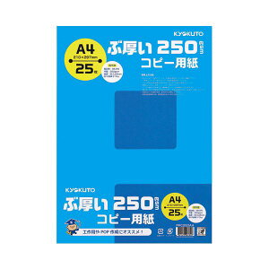 LNgEEA\VGCc ԌRs[p PPC250A4*20 (s)