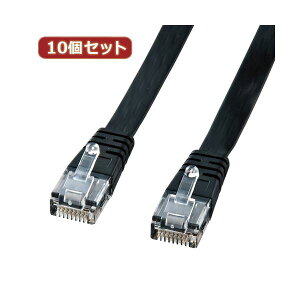 10�Z�b�g�T�����T�v���C UTP�G���n���X�h�J�e�S��5�����t���b�g�P�[�u���i�u���b�N�E1m�j LA-FL5-01KX10 (����s��)