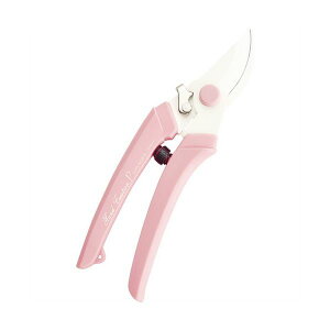 (܂Ƃ) ⌹ nT~ nhNG[V P-180 sN 10145 1 y×3Zbgzyz (s)