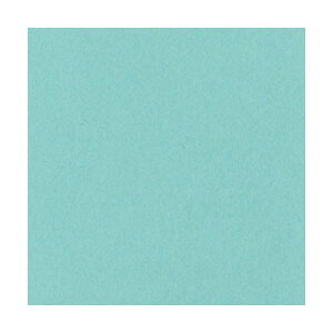 ebN j[J[R l 邢 4NCR-114 1pbN(100) (s)